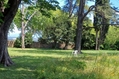 parc25